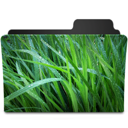 Grass I Icon 256x256 png